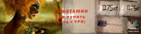 крисы Няндома