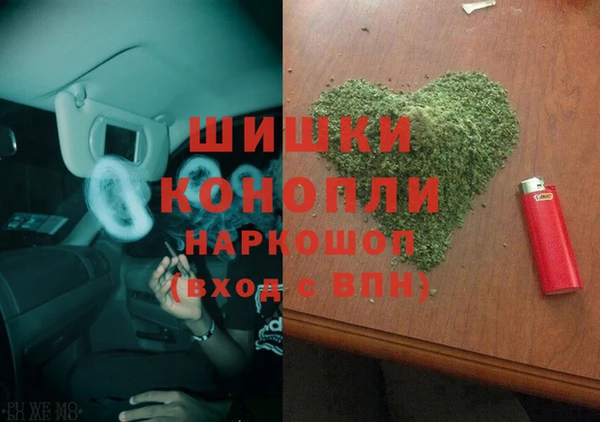 крисы Няндома